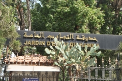 Entering the city Garden of Hamma.