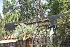 The cactus blocked the name of the gardens. Garden of Hamma.
