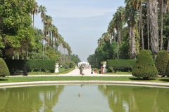 More views within the city park