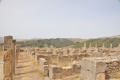 The city was slowly abandoned after the fall of the Roman Empire around the 5th century and 6th century.