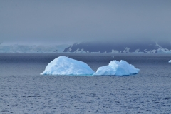 First sign of icebergs on the trip. First of many to come throughout the trip.