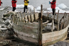 Check out the size of some of the whale vertebrae.