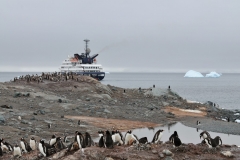 If you look closely at the aft back of the ship you will see a zodiac returning from this very location in the foreground of this photo.