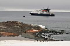 A zodiac returning to the ship