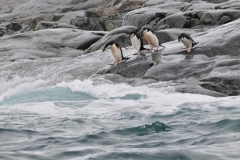 Oh this water looks cold!!!