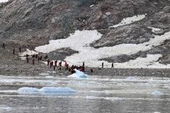 Making water landings on shore in a new location in Antarctica.