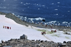 The green on the hillside at the lower part of the photo is Antarctic Moss.