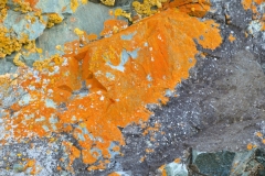 Iron ore deposits in the rock wall sides.