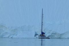 A private sailing vessel tucked in the harbor and walls of ice surrounding it .