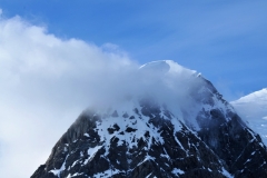 DSC_6272