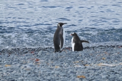 Looks like a stand off.