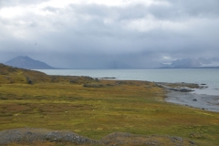 Looking off across the bay into the distance.