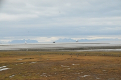 Best word to describe this part of the world.   "Desolate"