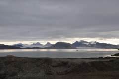 Massive glaciers in the distance across the bay
