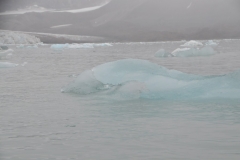 Glacier ice floating after calving from the glacier.