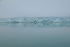 Miles and miles of glaciers long