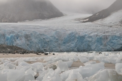The glacier recedes many miles inland from where I am standing.