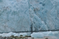 The glacier is close by and hundreds of feet high.