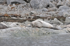 Now that is a smile of a full stomach.