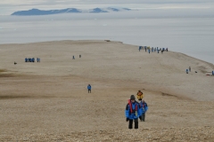 Landing on Torellaesfjellet