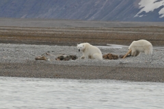 The whole area is part of Hinlopen Strait, it is on the west side of this huge waterway. A little river is flowing through the rocky landscape, partly forming little rapids and waterfalls.