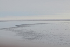 The ice on the water is changing to frozen sheets all around us.