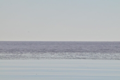 The Ice Breaker ship we are on is about to enter into the ice frozen over as we head north.