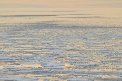 Larger and larger junks of ice appear around us in the Arctic.