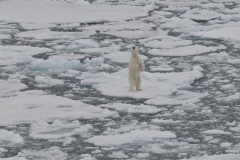 He must be thinking.. Hey Jim...come on down and join me. OK only kidding.