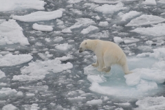 He is drifting nearer to the ship for closer up photos.