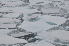 The ice around the ship is freezing over into massive sheets of ice. Soon it won't be long before the entire area around us freezes solid.