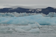 The Negribreen Glacier forms a wide glacier front with the moving extreme point Kapp Antinori. The glacier covers an area of about 460 sq miles. It is named after the Italian geographer Christoforo Negri.