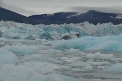 The beauty of maneuvering in and around the ice you have the feeling you are in another world.
