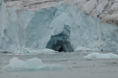 A rare look at small microcosm of the  underside of a glacier.