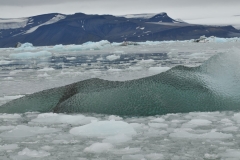 This magnificent glacier of silhouetted ice floated past us in a moment of time.