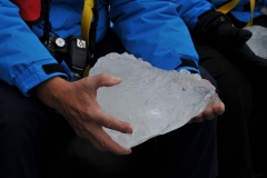 We pulled up a piece of a glacier floating nearby in the water. It was centuries old and cold!