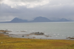 Opposite of where we landed  in previous photo looking into the distance.