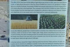 The seeds are stored in sealed three-ply foil packages and then placed into plastic tote containers on metal shelving racks. The storage rooms are kept at −0.4 °F.