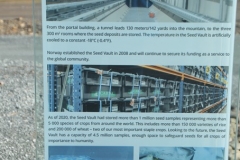 The low temperature and limited access to oxygen will ensure low metabolic activity and delay seed ageing. The permafrost surrounding the facility will help maintain the low temperature of the seeds if the electricity supply fails.