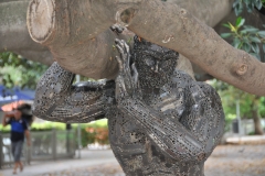 The statue symbolizes a great man that lifts one of the biggest and heaviest branches of the historic tree and the patrimonial value of the city”. The statue of Atlas is made out of 85% of remnants of cars.