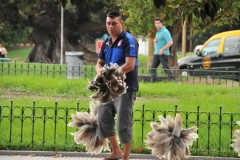 A man selling dusters in the Recoleta area.