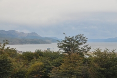 Views within Ushuaia