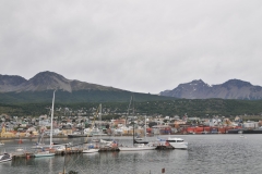 The bay