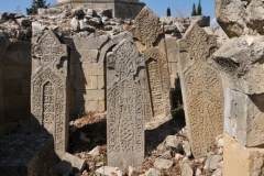 These are the ruins of the 18th century mausoleums of the Khans of Shemakha .