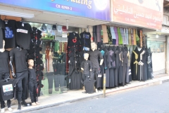 If you need it you can find it here for locals