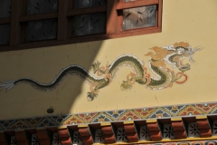 Dragons