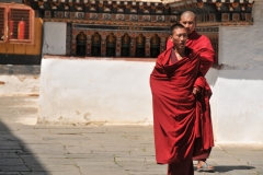 Young Buddhist Monks