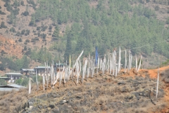 The flags placed on hill slopes are normally a profusion of colorful religious flags fixed by the Buddhist people as a mark of veneration. Flags are made up in 5 colors representing natural colors - blue (sky) white (clouds) red (fire) green (water) and yellow (earth).