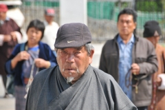 DSC_0246