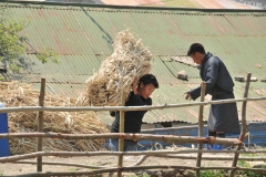 No mechanization - everything is done by hand